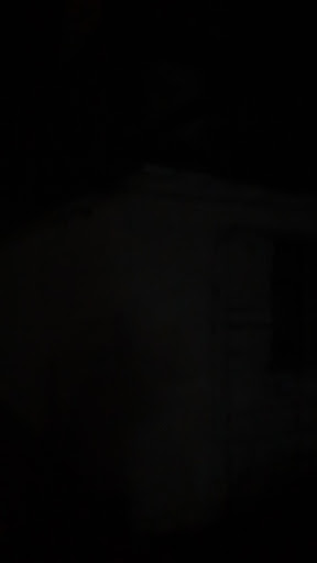 Дървената вила, Перник